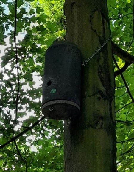 nistkaesten-bienenkasten-mainz-meisterbaum
